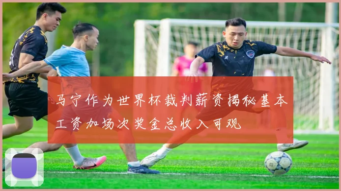 马宁作为世界杯裁判薪资揭秘基本工资加场次奖金总收入可观