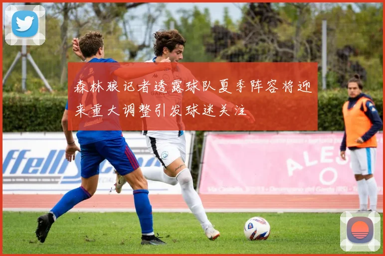 森林狼记者透露球队夏季阵容将迎来重大调整引发球迷关注